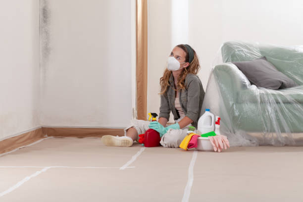 Reliable Mold Remediation contractor in Chandler, TX by WQB Mold Removal